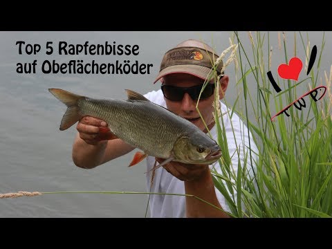 Die 5 Spektakulärsten Rapfenbisse auf Oberflächenköder