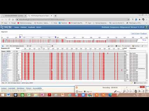 . How do you do a BLAST search ?    Nucleotide BLAST