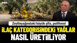 Zeytinyağındaki büyük şifa, polifenol... İlaç kategorisindeki yağlar nasıl üreti