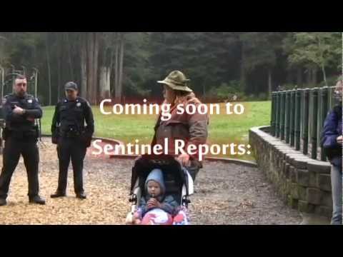 Sentinel Preview: Arcata's War On Hippies