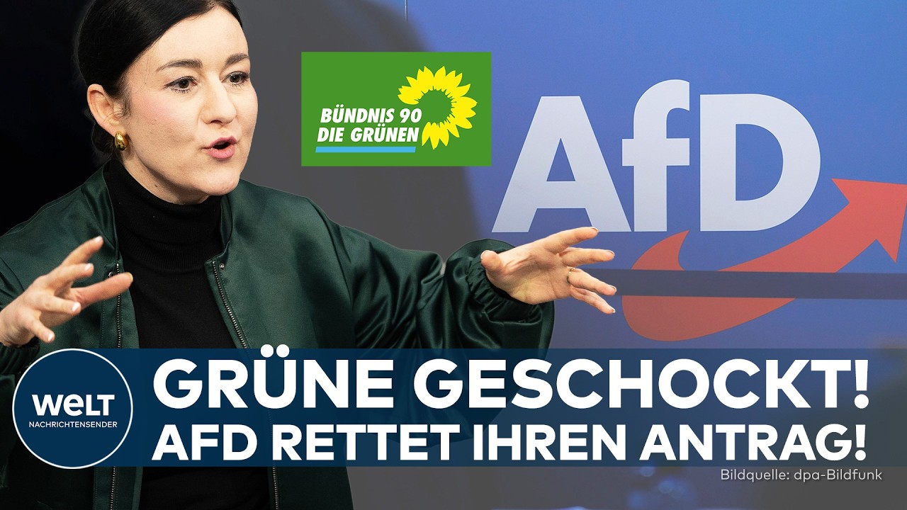 BRANDMAUER-BEBEN IN SACHSEN: Grünen-Antrag siegt ausgerechnet mit AfD-Stimmen!