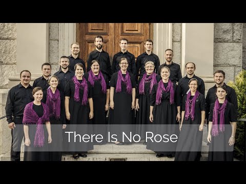 There is No Rose | Philip Stopford