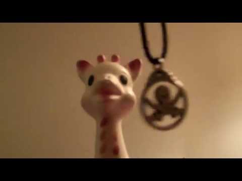 Hypnotizing Chippy The Giraffe