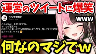 ぶいすぽ運営の過去ツイートを漁りながら大爆笑するひなーの【橘ひなの/切り抜き】