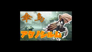 アケノシルムの動きがトリッキー過ぎる【モンハンライズ実況里クエ制覇】