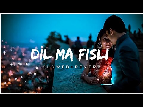 Dil Ma Fisli ( दिल मा फिसली ) Aadiwasi lofi song slowed+reverb Sohan Bhai rajawat & Shital Senani