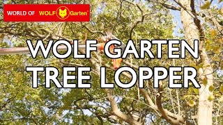 How to use the Wolf Garten Multi-Change Tree Lopper & Cord Tidy - ZMV4 / RCVM / ZSM