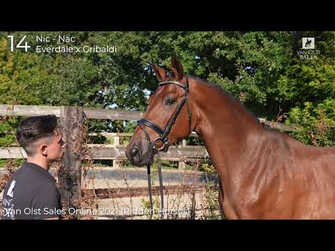 Van Olst Sales Online Nic Nac 2nd video