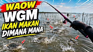 Download lagu WGM DIMANA MANA IKAN mp3