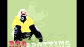 Wild Beasts - Lion's Share