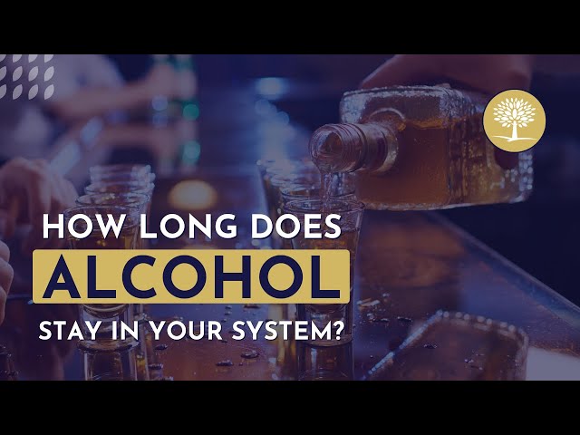 Alcohol Out Of System Chart