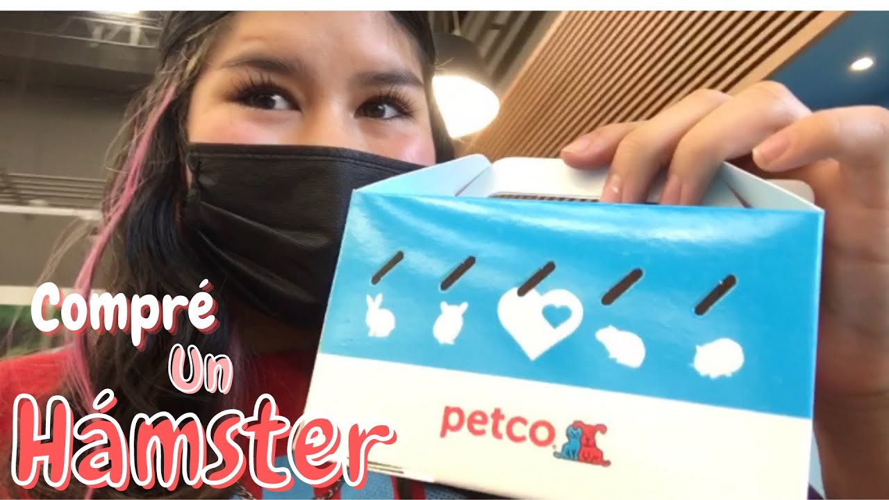 Putar video COMPRÉ UN HAMSTER!!! 🐹 sekarang COMPRÉ UN HAMSTER!!! 🐹