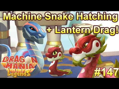 Machine Snake Dragon Hatching + Lantern Dragon Limited Time Breeding!- Dragon Mania Legends #147
