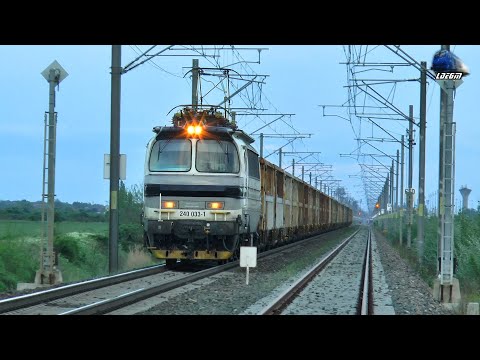 Laminátka 240 033-1 & Tren de Marfă Freight Train Spre/Freight Train To Lőkösháza - 15 May 2021