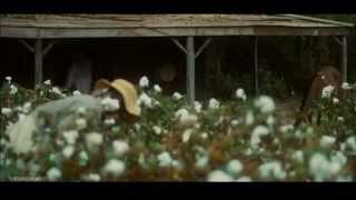 Al Green - Free at Last (Legendado)