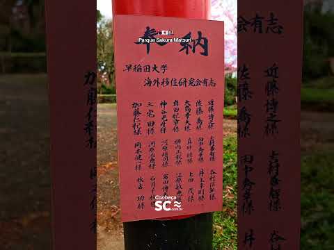 Parque Sakura Matsuri em Frei Rogério Santa Catarina #conhecascoficial