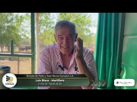 21-02-26 - Luis Biaus - Martillero - Remate de Pedro y Raúl Alonso Ganados S.A. - Tandil, Bs.As.