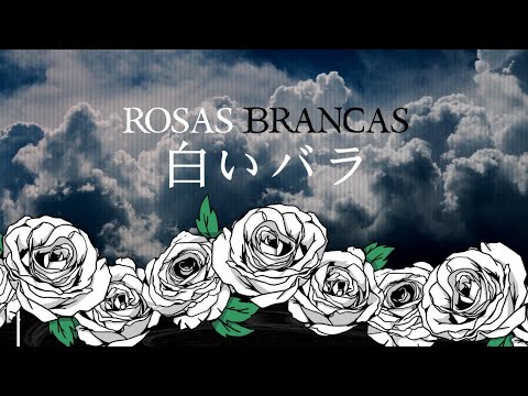 Rosas Brancas video