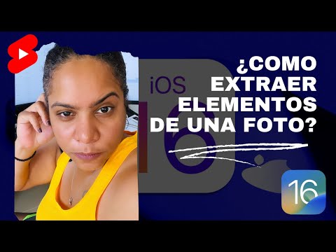 iOS 16: Cómo extraer sujetos de imágenes en la web