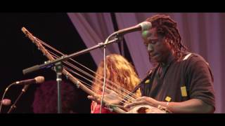 Salif Keita Live in Seattle "Yambo-Yambo"