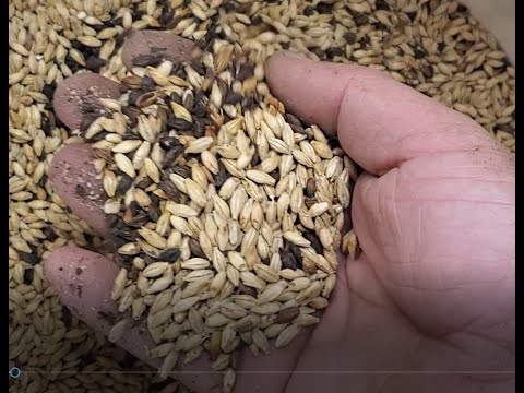 Brew Day! All Grain Coffee Stout #beer #homebrew #homebrewer #stout #diy #allgrain #allgrainbrewing