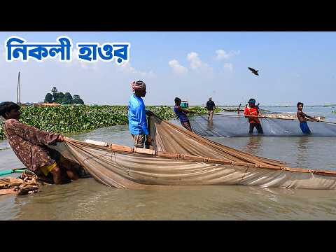সমস্যা ও সম্ভাবনার কিশোরগঞ্জের নিকলী হাওর || Panorama Documentary
