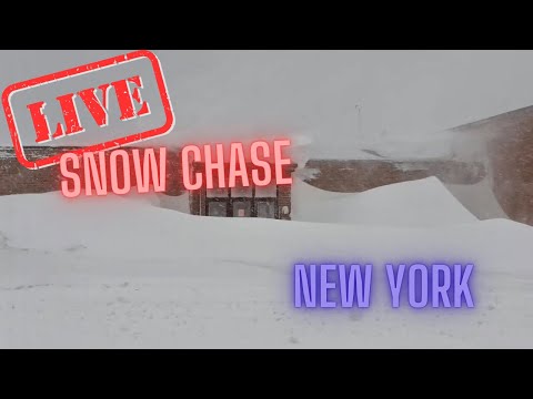 Heavy Lake Effect Snow in New York - Winter Storm Warning - Live Storm Chase