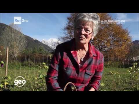 Resia Geo&Geo 30 12 2016