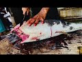 Cutting Tuna Fish Cutting Fish Cutting Exprt Sri Lanka