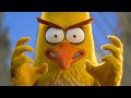 THE ANGRY BIRDS 2 CHUCK Best Moments HD ANIMATION MOVIES