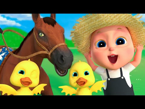 El Baile De Los Animal | Canciones Infantiles | Videos para Niños | Leandro En Español