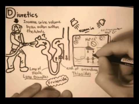 Nociceptors An Introduction to Pain