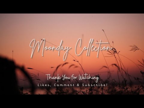 Moonday Reading - met frisse moed opnieuw beginnen 💫🦸🏼‍♀️🦸🏽‍♂️