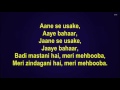 Aane se uske aaye bahaar - Jeene Ki Raah - Full Karaoke
