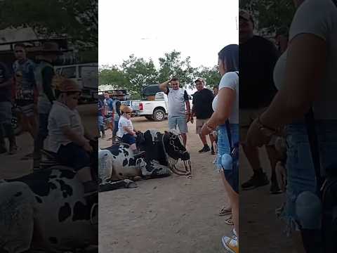 Cavalgada Em Passira Pernambuco