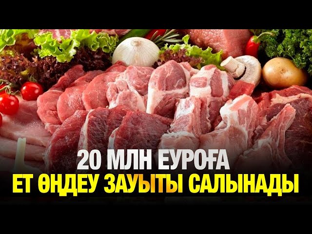 Ет өңдеу зауыты салынады
