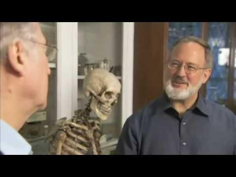 Intelligent Design (1): The Human Body | Richard Dawkins & Randolph Nesse