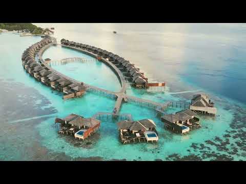 Lily Beach Resort MALDIVES 🌊🌴 True PARADISE | FULL ISLAND TOUR 4K | South ARI Atoll Vlog