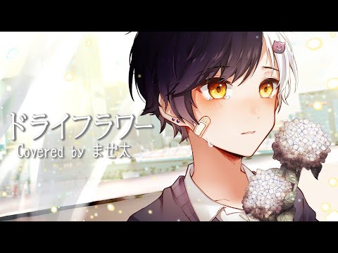 泣きながら『ドライフラワー』歌ってみた【まぜ太】【ドライフラワー/優里】