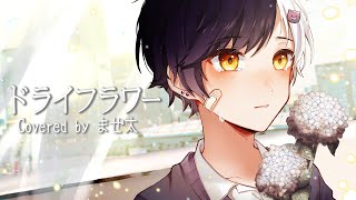 泣きながら『ドライフラワー』歌ってみた【まぜ太】【ドライフラワー/優里】