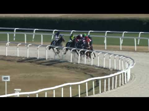 2018.10.14. 05. futam - BARNA ANDRÁS EMLÉKVERSENY HENDIKEP (I.o.) (szintetikus pálya)