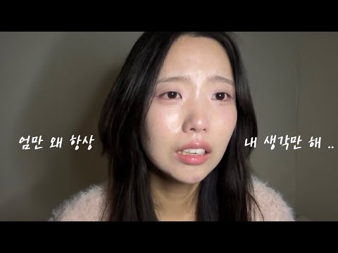 비디오 6