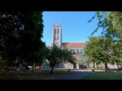 Organ restoration   demo