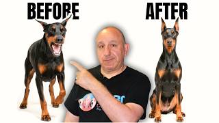 How to Get Your Stubborn Breed to Listen to You (No Treats Needed!)🐾