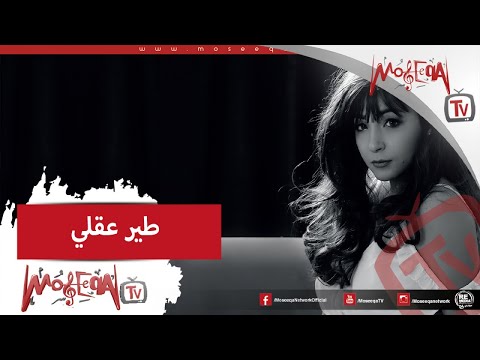 Engy Amin - Tayar Aqly / انجي أمين- طير عقلي