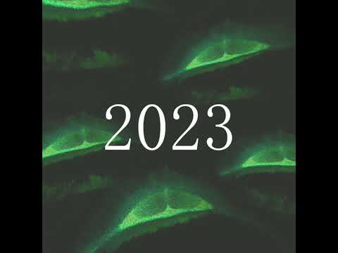 Rm ❌ Rox visionVip23celebrate update Kiko ta pasando