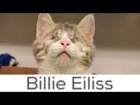 What NOT to name your pet