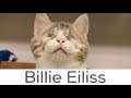 What NOT To Name Your Pet