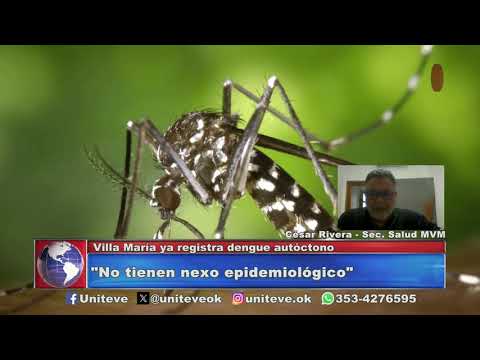 Villa María ya registra casos de dengue autóctono