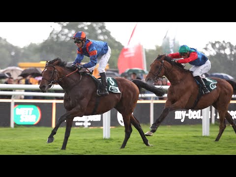 Hamburg: my-bed.eu-Langer Hamburger 2024 Sieger: Niagaro